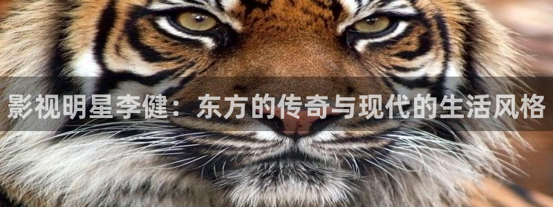 韓倫影院極速播放