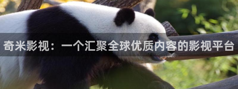 快手極速版發視頻怎么掙錢：奇米影視：一個匯聚全球優質內容的影視平臺