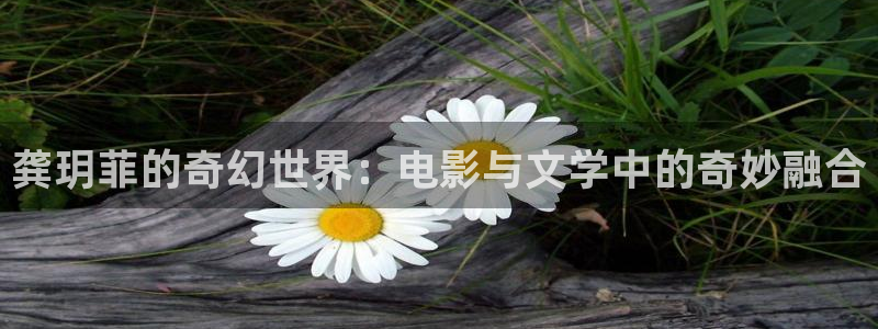 極速影院2025最新電影在線觀看：龔玥菲的奇幻世界：電影與文學中的奇妙融合