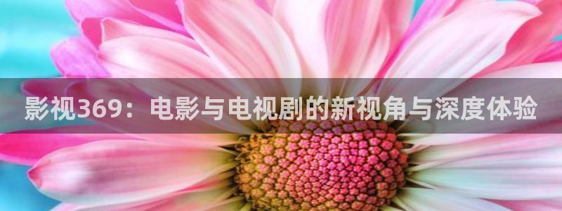 極速影院：影視369：電影與電視劇的新視角與深度體驗